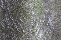 Billington fibreglass roof work